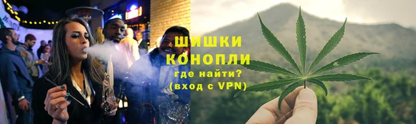 амф Арсеньев