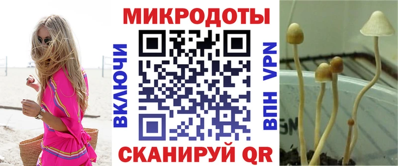 Псилоцибиновые грибы прущие грибы  Могоча 